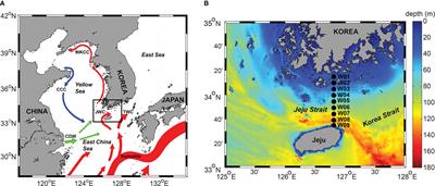 Northward movement of the tropical dinoflagellate Ornithocercus and Triposolenia genera in Korean coastal waters is strongly associated with the inflow of the Jeju Warm Current